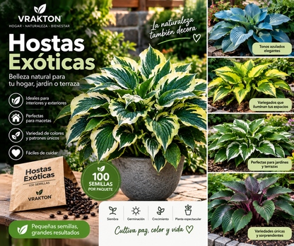 Semillas de Hostas Exóticas