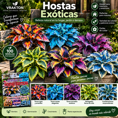 Semillas de Hostas Exóticas