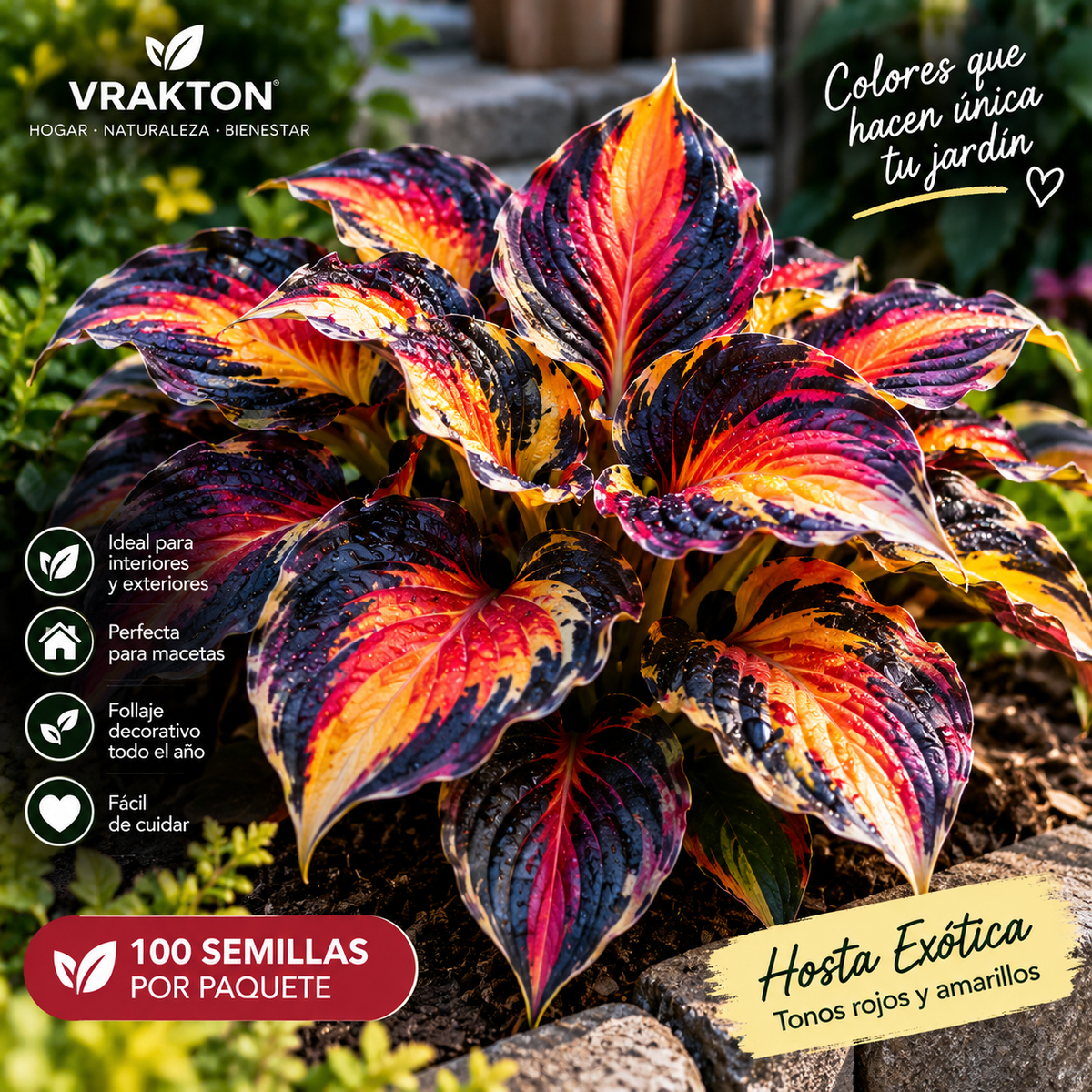 Semillas de Hostas Exóticas