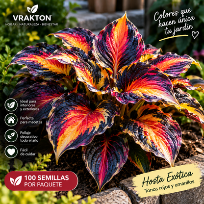 Semillas de Hostas Exóticas
