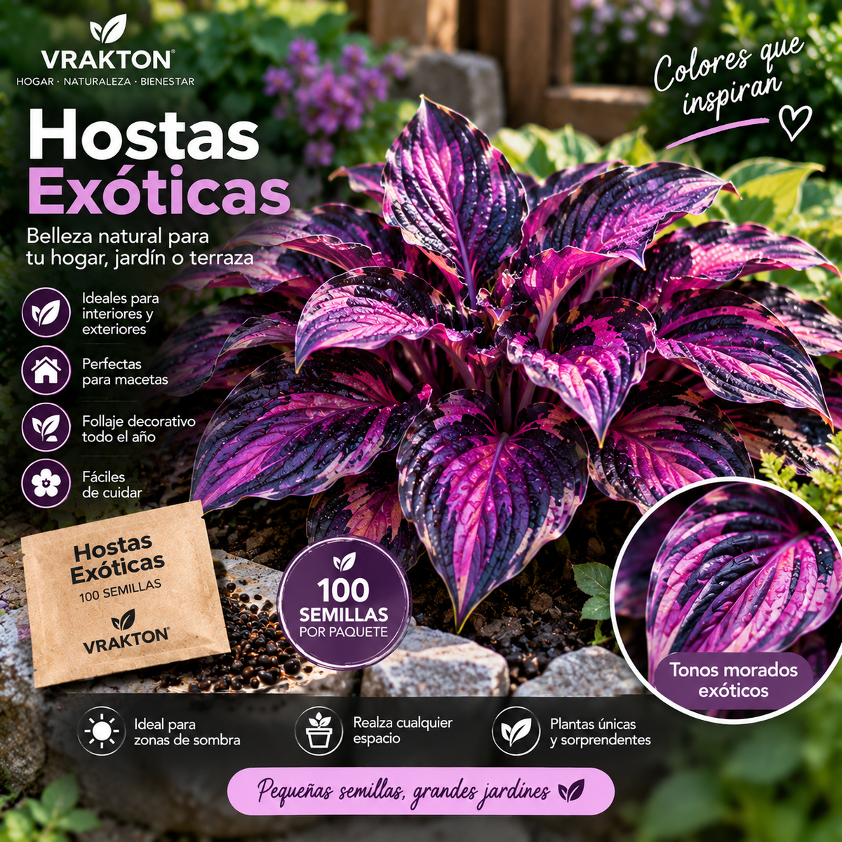 Semillas de Hostas Exóticas