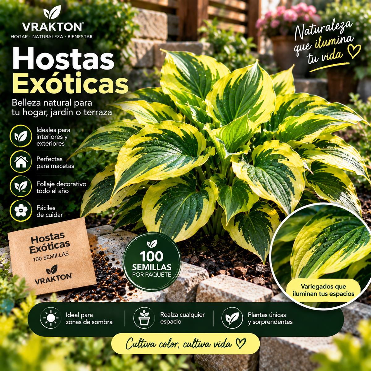 Semillas de Hostas Exóticas