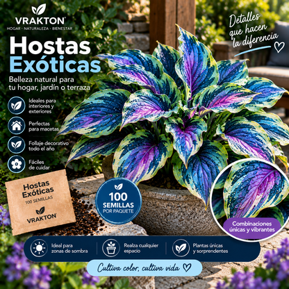 Semillas de Hostas Exóticas