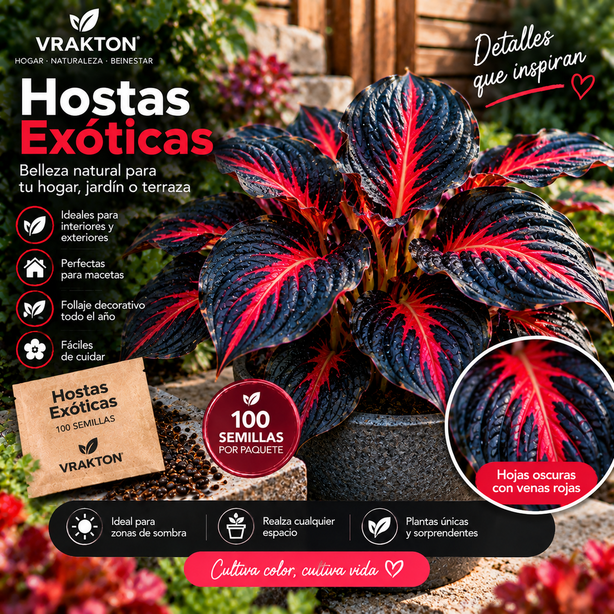 Semillas de Hostas Exóticas