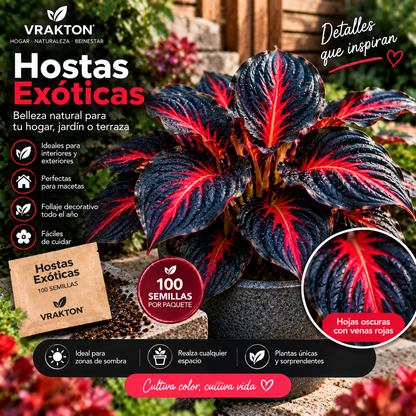 Semillas de Hostas Exóticas